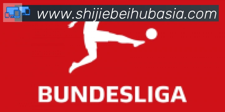 FIFA世界杯买球入口合作伙伴